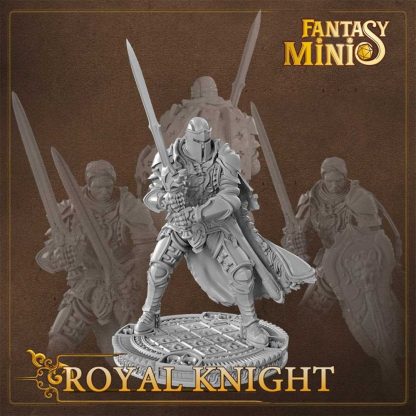 Fantasy royal knight miniature fantasy minis