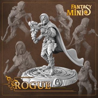 Fantasy female rogue miniature fantasy minis