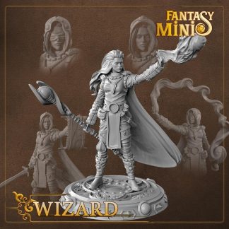 Fantasy female wizard miniature fantasy minis
