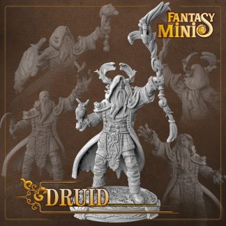 fantasy druid miniature